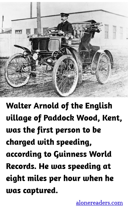 General Knowledge Learning Cards