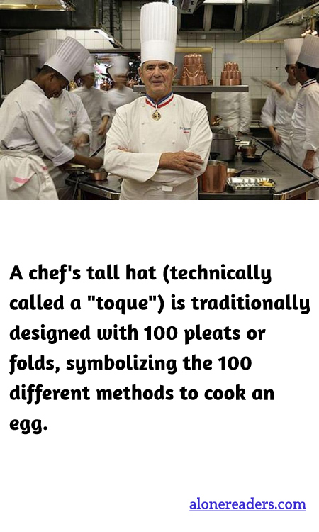 General Knowledge Learning Cards