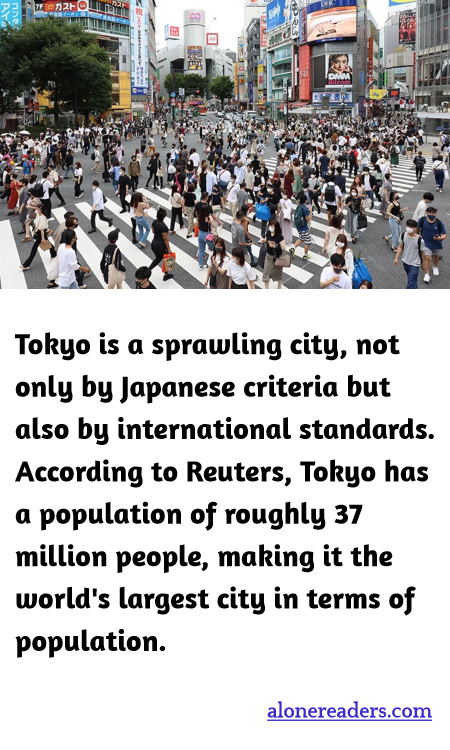 General Knowledge Learning Cards