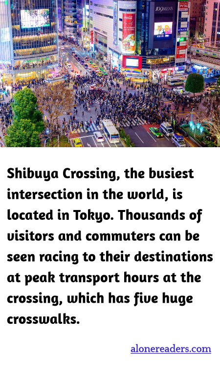 Shibuya Crossing, the busiest intersection in the world, is located in Tokyo. Thousands of visitors and commuters can be seen racing to their destinations at peak transport hours at the crossing, which has five huge crosswalks.
