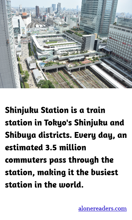 General Knowledge Learning Cards