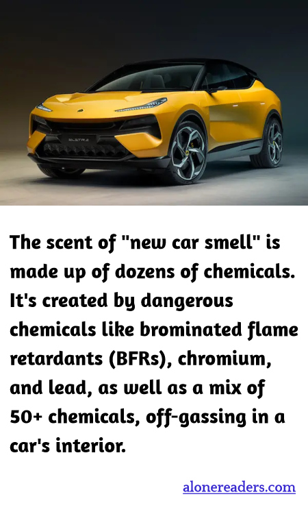 General Knowledge Learning Cards