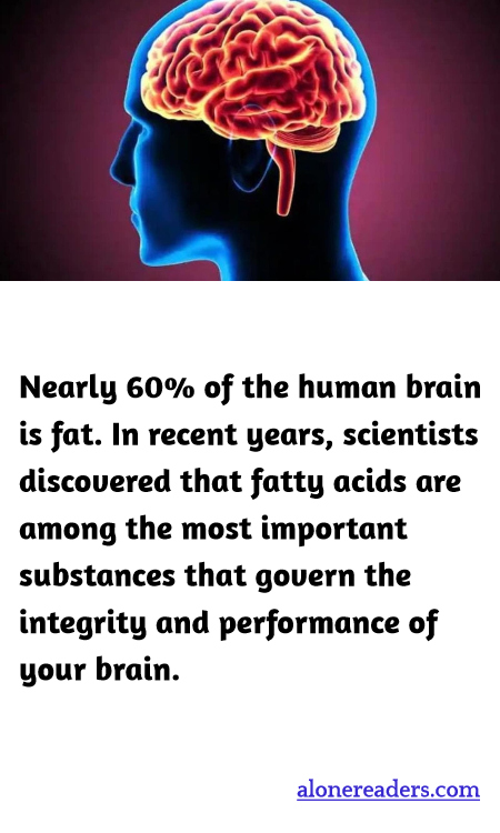 Nearly 60% of the human brain is fat. In recent years, scientists discovered that fatty acids are among the most important substances that govern the integrity and performance of your brain.