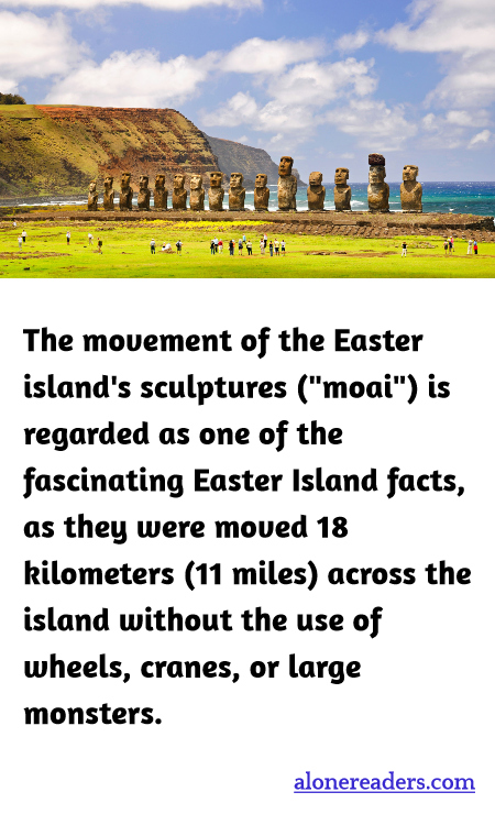 General Knowledge Learning Cards