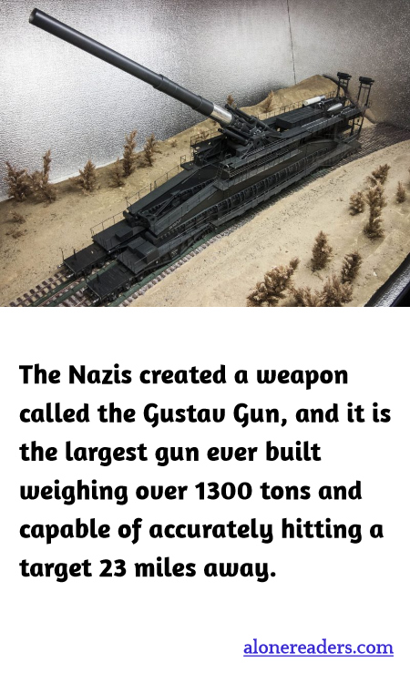 General Knowledge Learning Cards