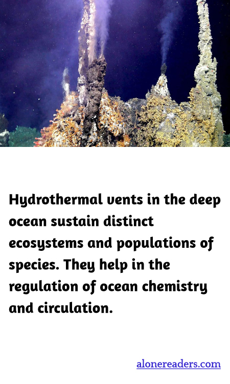 General Knowledge Learning Cards