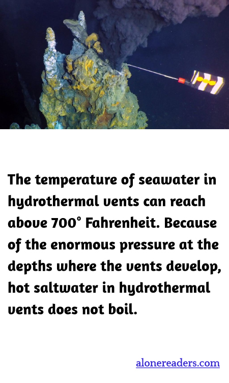 General Knowledge Learning Cards