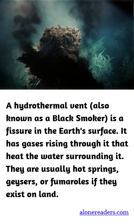 A hydrothermal vent (also known as a Black Smoker) is a fissure in the Earth's surface. It has gases rising through it that heat the water surrounding it. They are usually hot springs, geysers, or fumaroles if they exist on land.