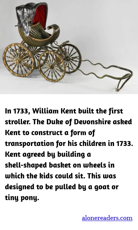 General Knowledge Learning Cards