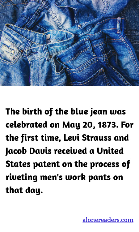 General Knowledge Learning Cards