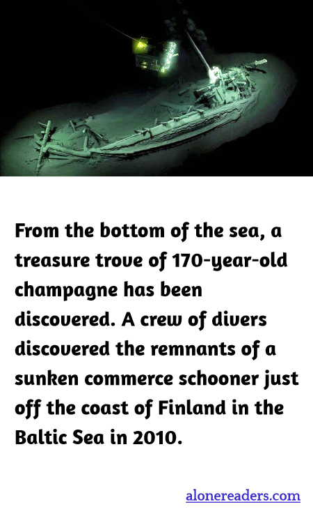 General Knowledge Learning Cards