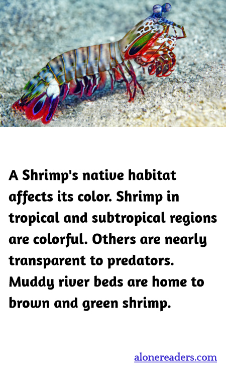 General Knowledge Learning Cards