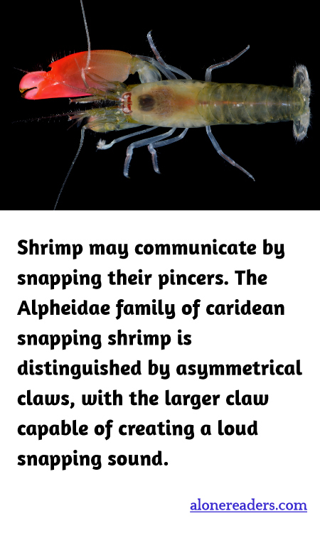 General Knowledge Learning Cards