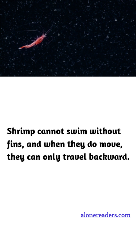 General Knowledge Learning Cards