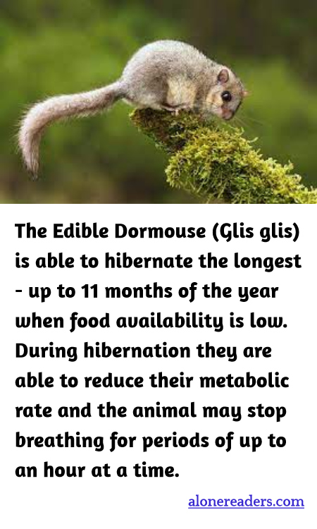 General Knowledge Learning Cards