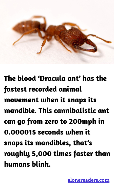 General Knowledge Learning Cards