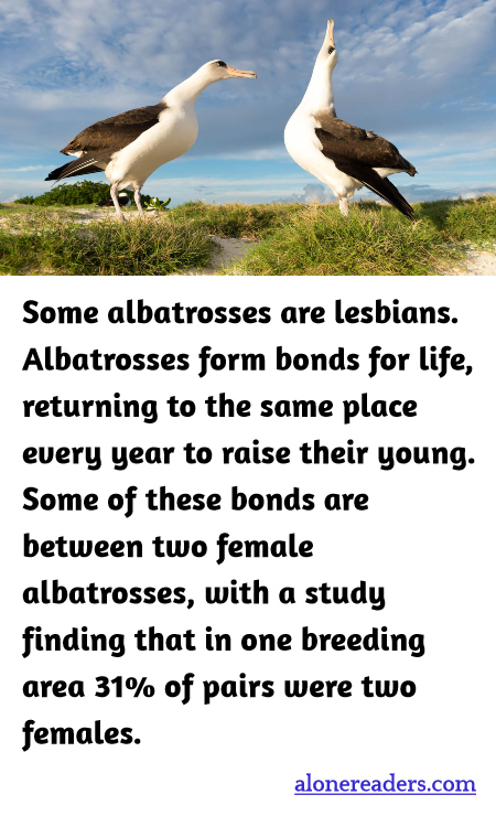 General Knowledge Learning Cards