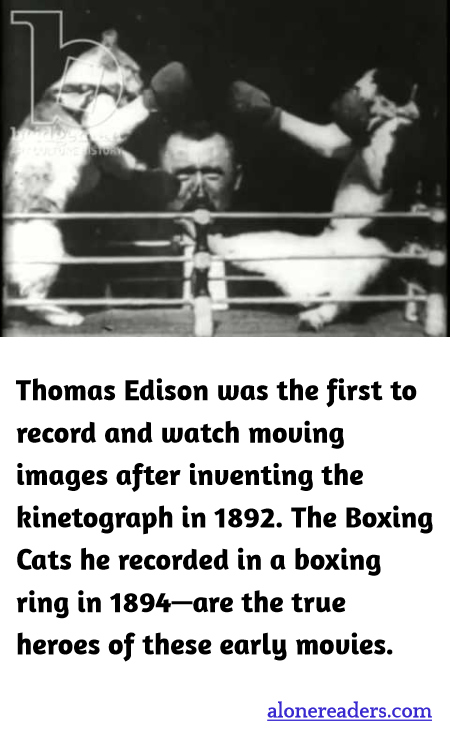 General Knowledge Learning Cards