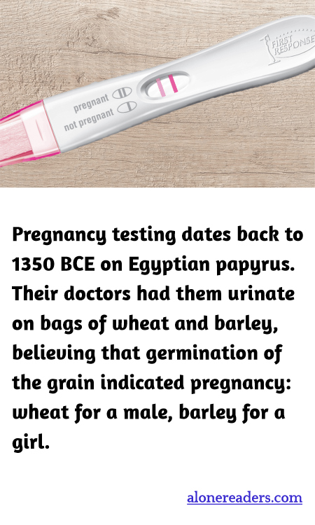 General Knowledge Learning Cards