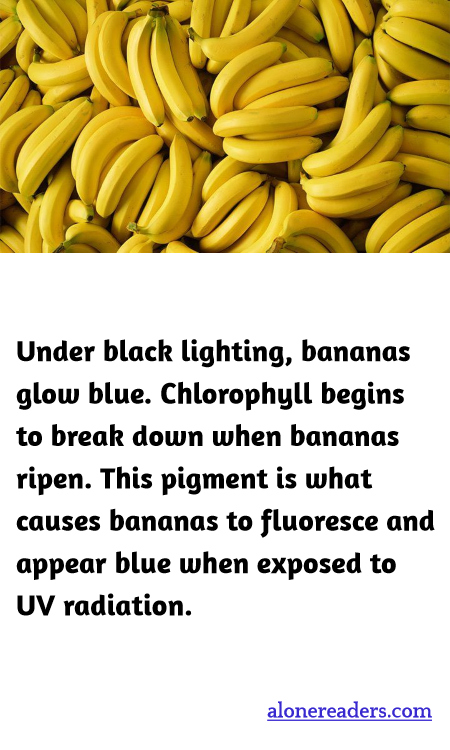 General Knowledge Learning Cards