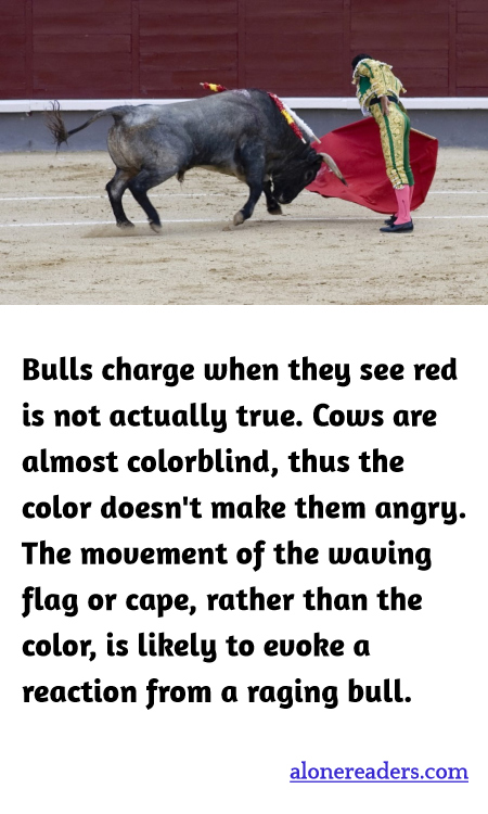 General Knowledge Learning Cards