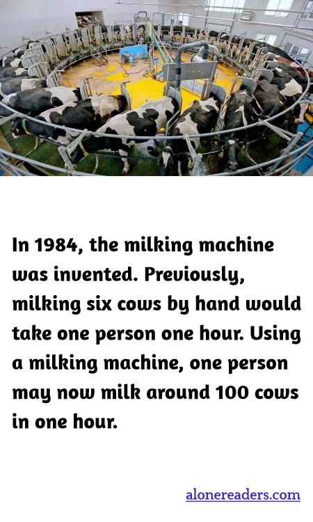 General Knowledge Learning Cards