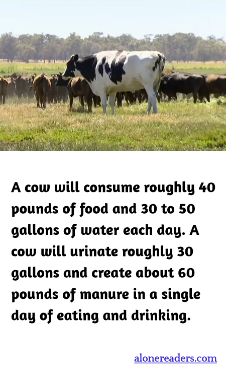 General Knowledge Learning Cards