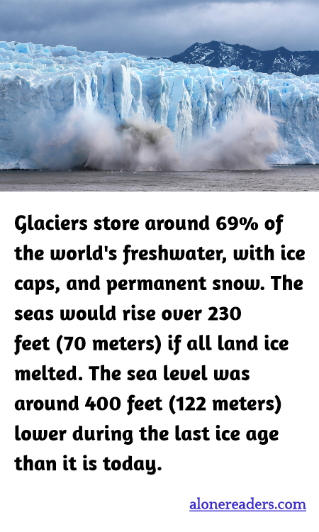 General Knowledge Learning Cards