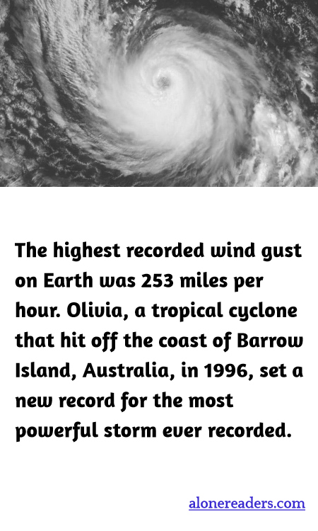 General Knowledge Learning Cards