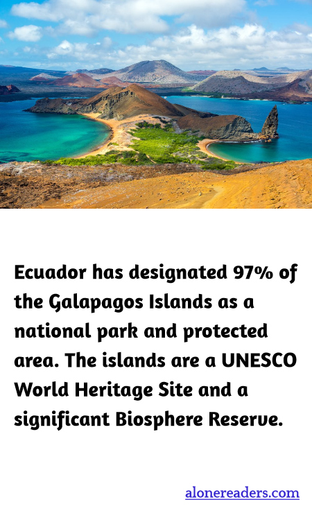 General Knowledge Learning Cards