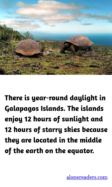 General Knowledge Learning Cards