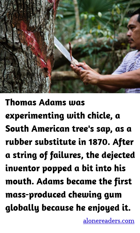 General Knowledge Learning Cards