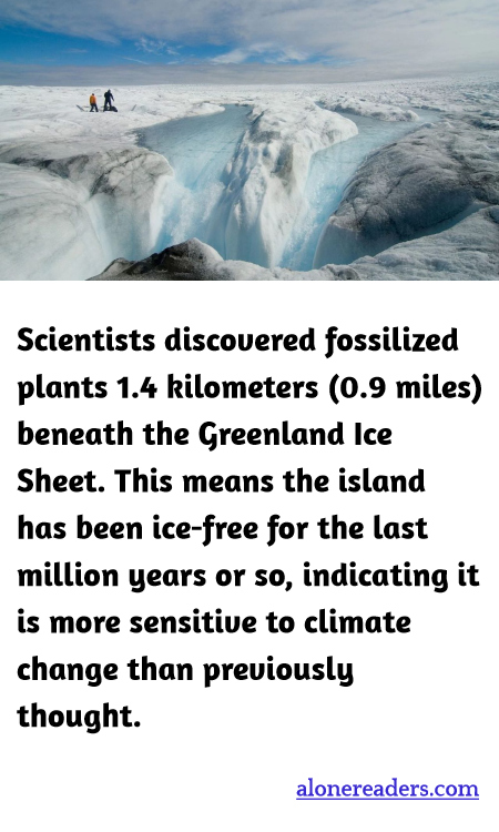 Scientists discovered fossilized plants 1.4 kilometers (0.9 miles) beneath the Greenland Ice Sheet. This means the island has been ice-free for the last million years or so, indicating it is more sensitive to climate change than previously thought.