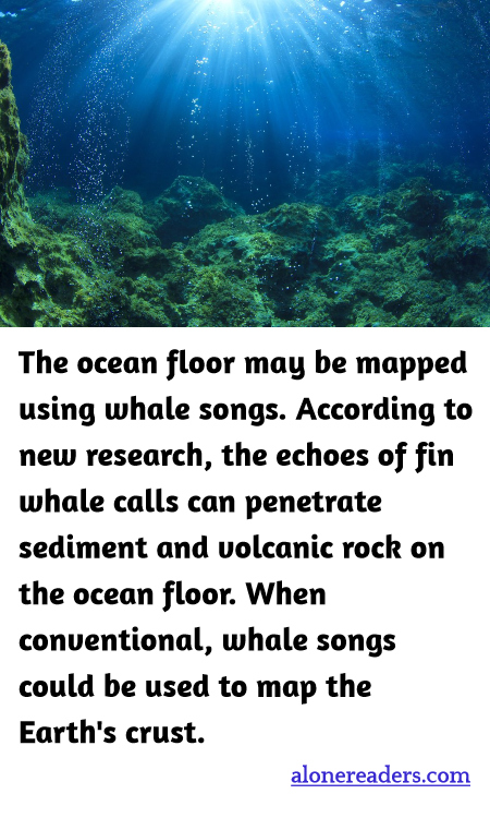 The ocean floor may be mapped using whale songs. According to new research, the echoes of fin whale calls can penetrate sediment and volcanic rock on the ocean floor. When conventional, whale songs could be used to map the Earth's crust.