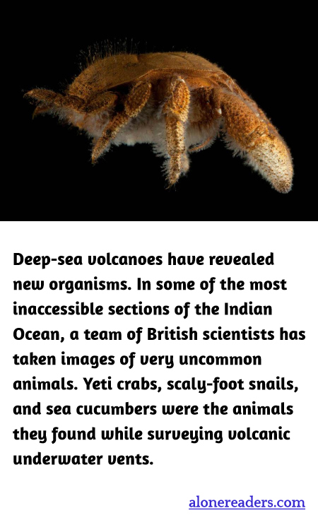 General Knowledge Learning Cards