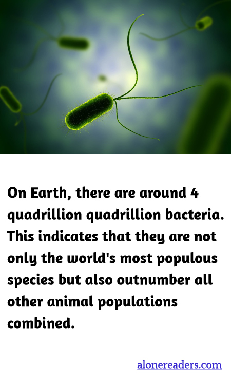 General Knowledge Learning Cards