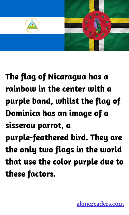 General Knowledge Learning Cards