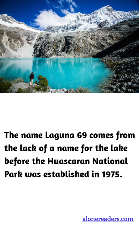 General Knowledge Learning Cards