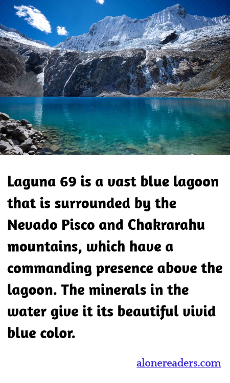 General Knowledge Learning Cards