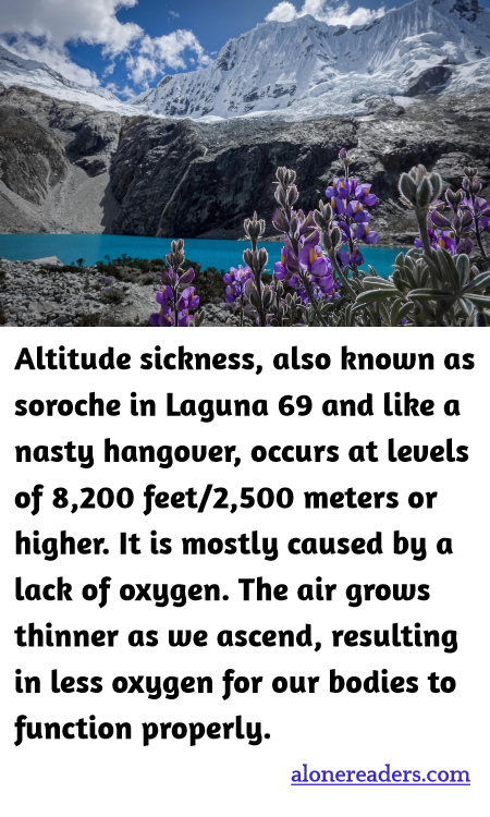 General Knowledge Learning Cards