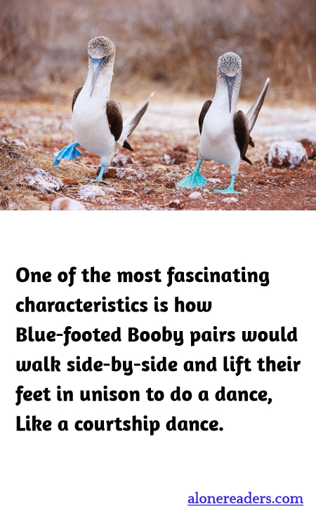 General Knowledge Learning Cards