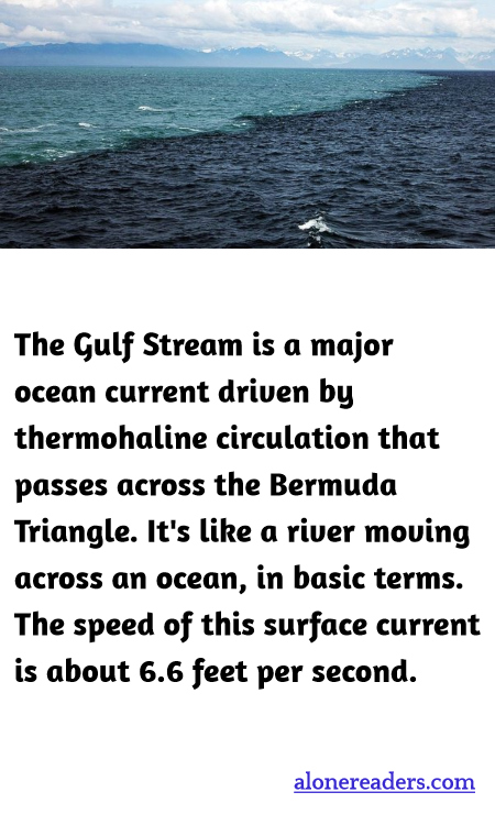 General Knowledge Learning Cards