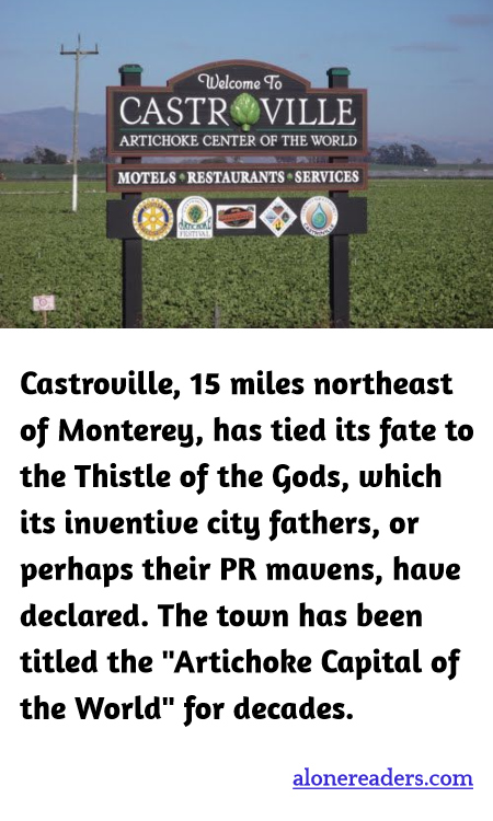 General Knowledge Learning Cards