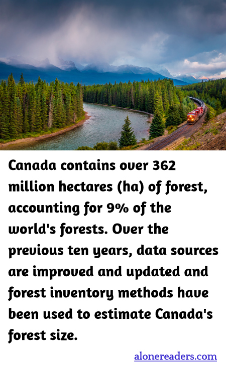 Canada contains over 362 million hectares (ha) of forest, accounting for 9% of the world's forests. Over the previous ten years, data sources are improved and updated and forest inventory methods have been used to estimate Canada's forest size.