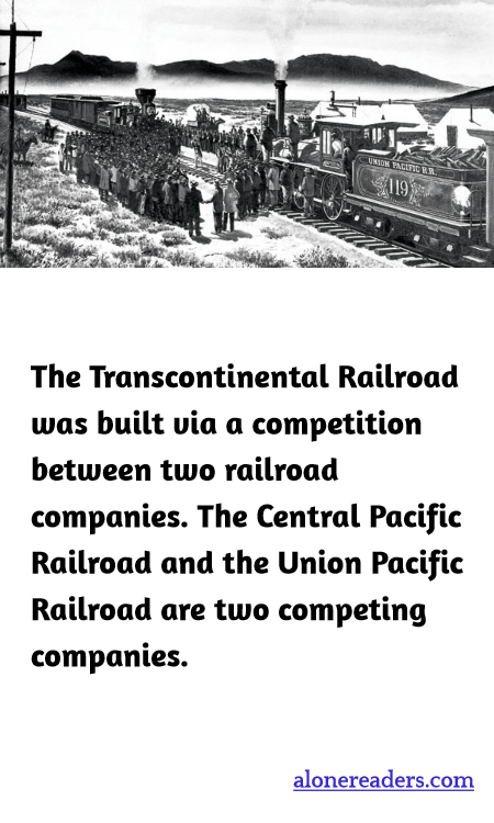 General Knowledge Learning Cards