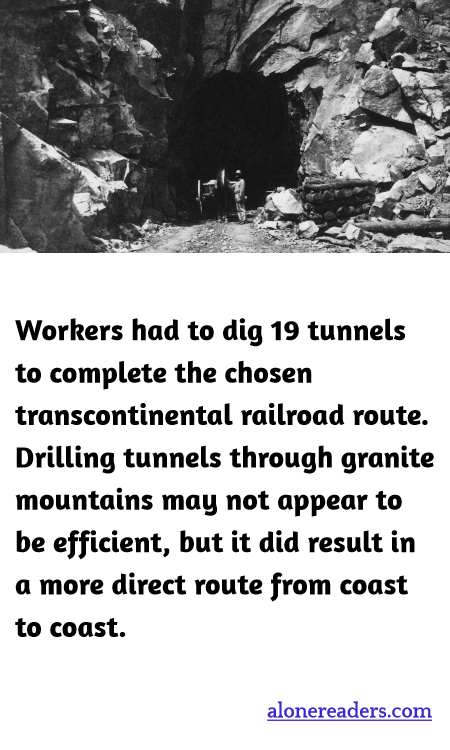 General Knowledge Learning Cards