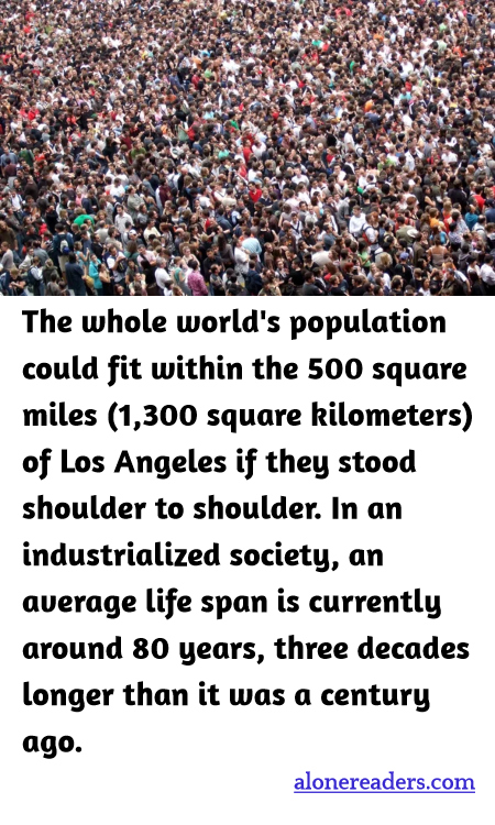 General Knowledge Learning Cards