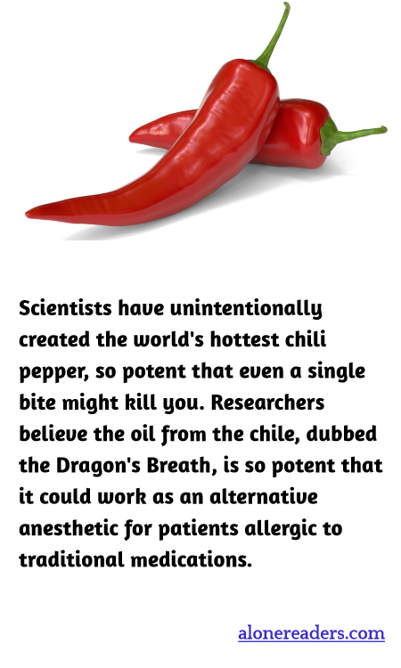 General Knowledge Learning Cards