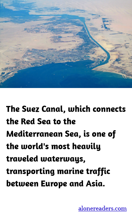 General Knowledge Learning Cards