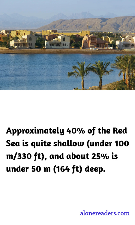 General Knowledge Learning Cards